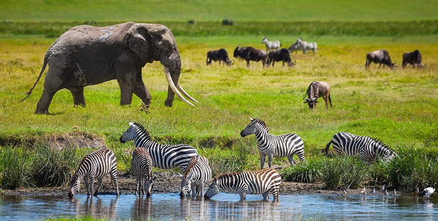 Lake Manyara Accommodation